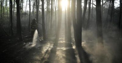 W najbliższych dniach duże zagrożenie pożarowe lasów